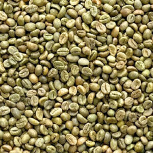 ROBUSTA GRADE 1 S18 CLEAN